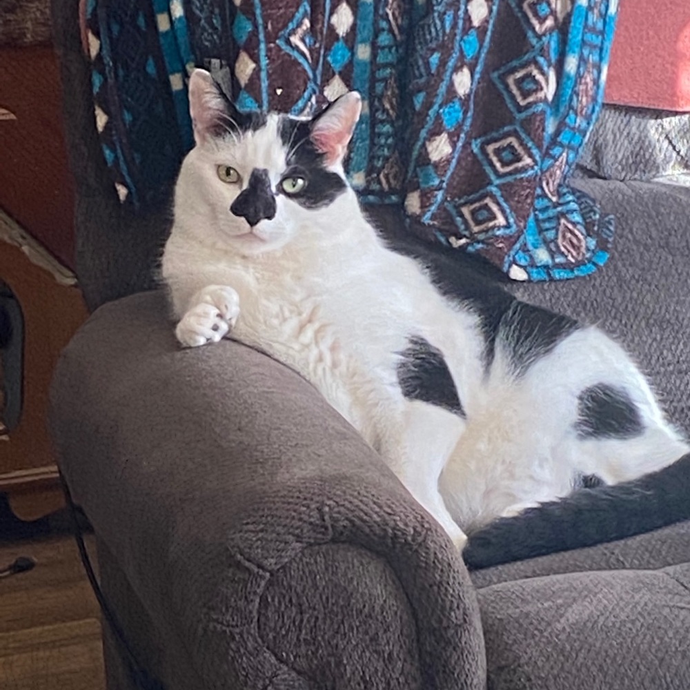 Meet your Posher, Lynn